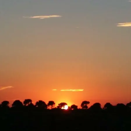 Tramontodivino 3* San Pietro in Vincoli