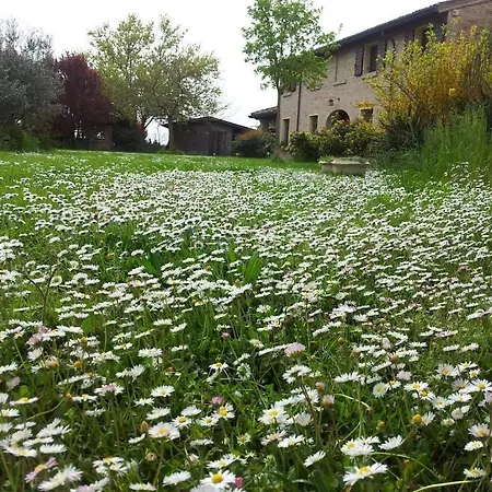 Bed and Breakfast Tramontodivino R&b San Pietro in Vincoli
