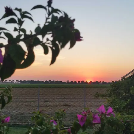 Tramontodivino R&b 3* San Pietro in Vincoli