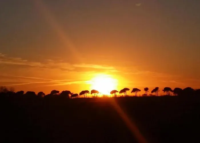 Tramontodivino R&b Oda ve Kahvaltı San Pietro in Vincoli