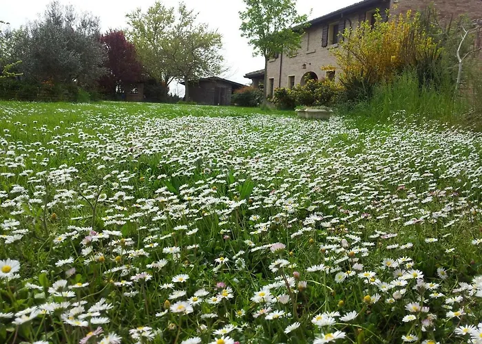 Tramontodivino R&b 3* San Pietro in Vincoli