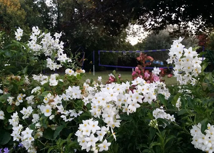 Tramontodivino R&b 住宿加早餐酒店